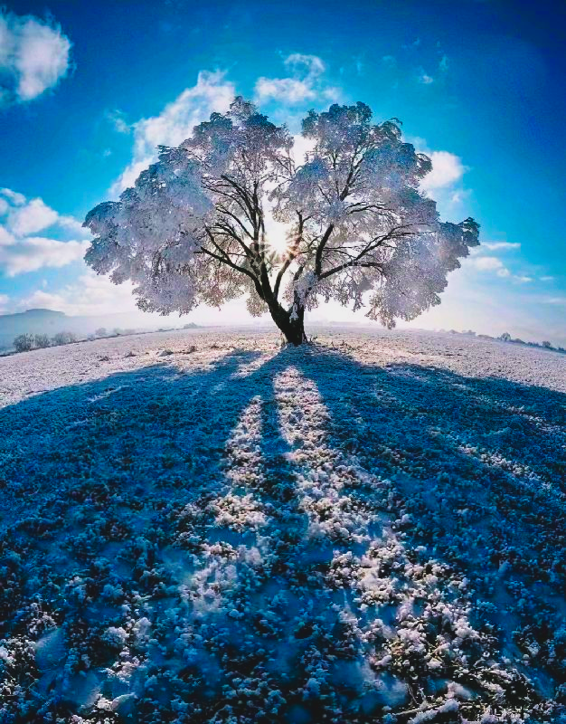 I am best photographer I make High quality photos, i...