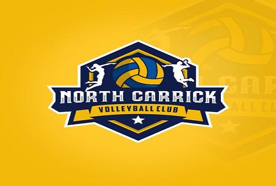 I will design a unique modern logo