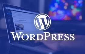 You will get WordPress Page Speed Optimization and Bo...