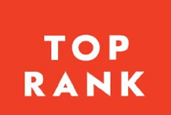 I will drive traffic google search quality organic fo...