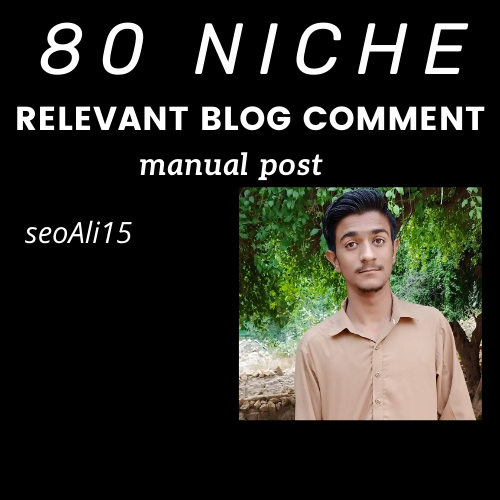 80 niche relevant blog comment manual post