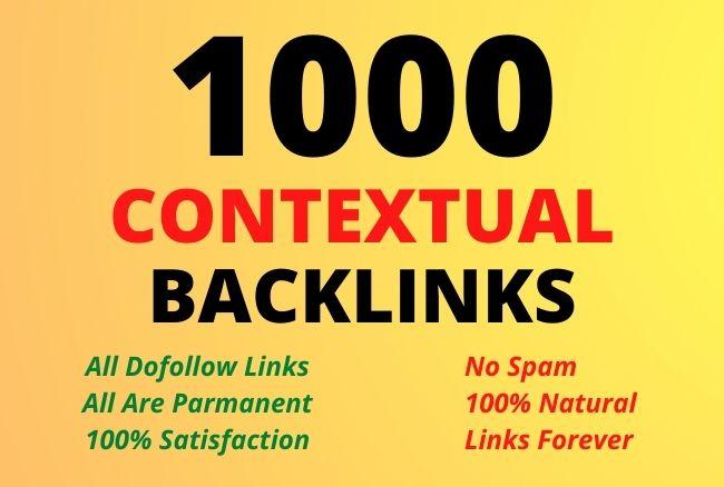 I will build 1000 white hat SEO dofollow contextual h...