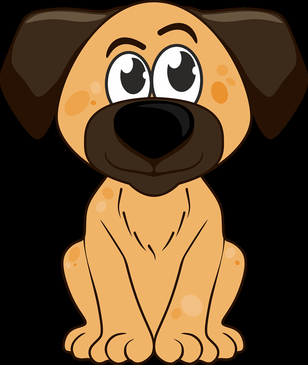 Pet Grooming vedio site builder