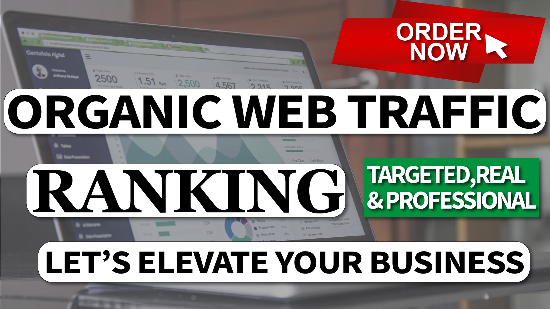 Real Organic Human Traffic for 1 Month to Your Websit...