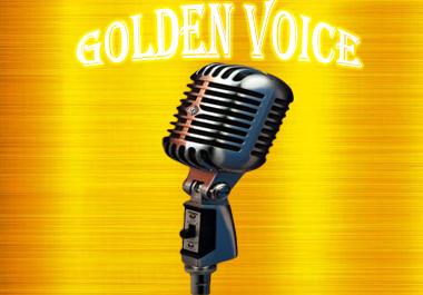 Professionally produced voice overs for any script