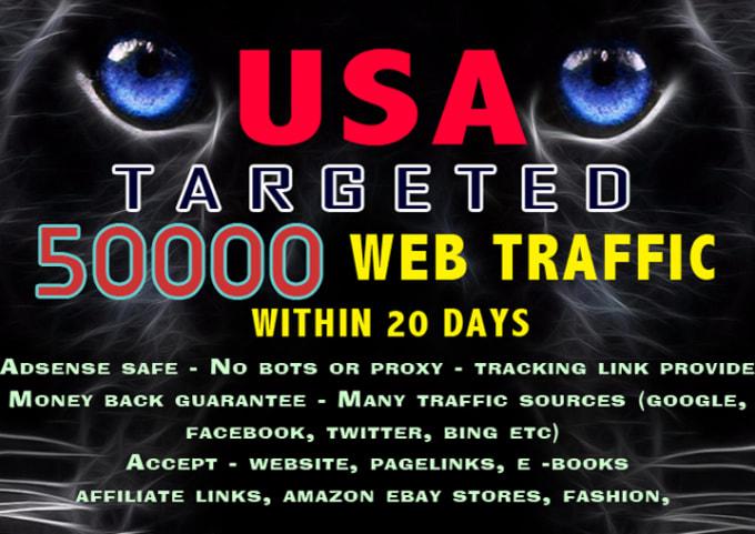 i will drive 50000+ visitors to your website within 2...