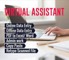 I will do professional Virtual Assistant, Web Resear...