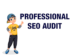 I will manually audit both your website and your comp...