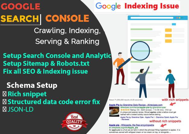 I will fix google indexing search console error and s...