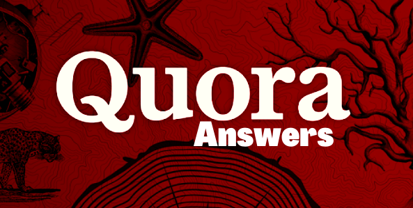Promote your website 10 high quality Quora answer wit...