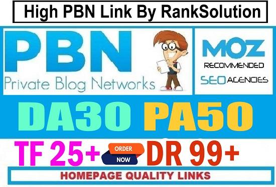 20+ PBN Homepage high 20 pius DR DA PA TF CF MOZ Auth...