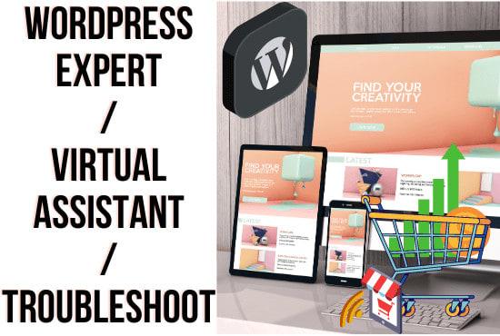 I will be a wordpress expert, virtual assistant or t...