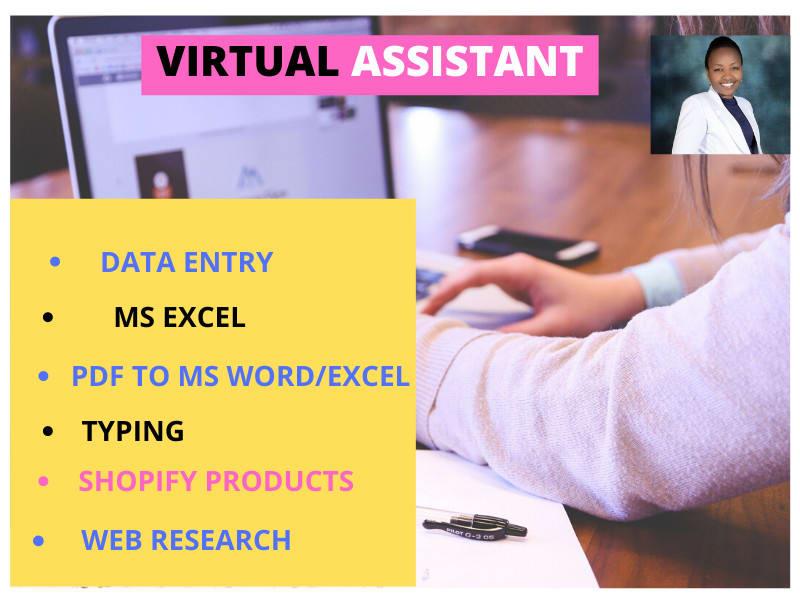 I will be your virtual assistance for data entry and ...