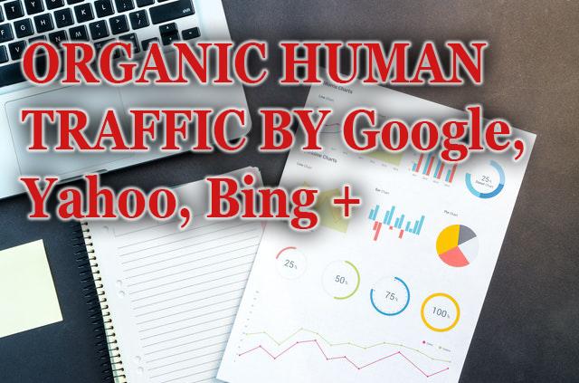 5000 Real Human Traffic daily for 10 days - Big promo...