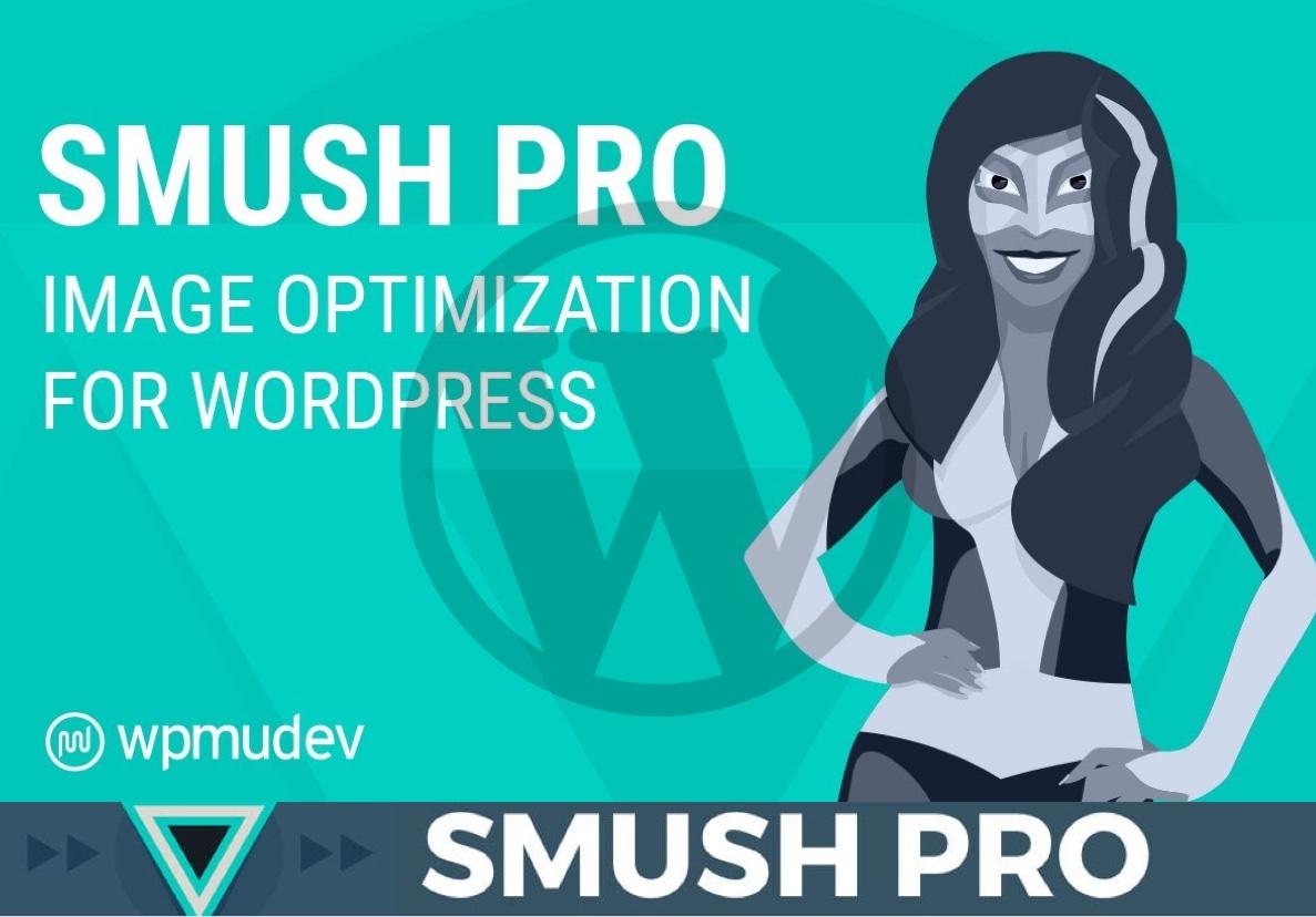 I will install Smush Pro plugin on your Wordpress Web...