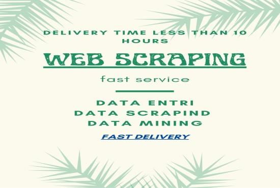 I will do web scrapping, data mining and data entry