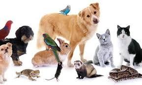 An article consisting of 595 words 100 exclusive abou...