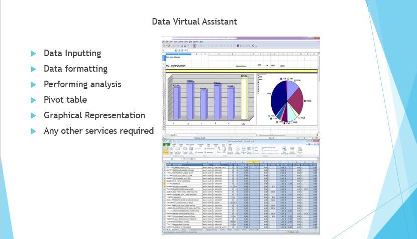 I will be here to help you in data inputting and proc...
