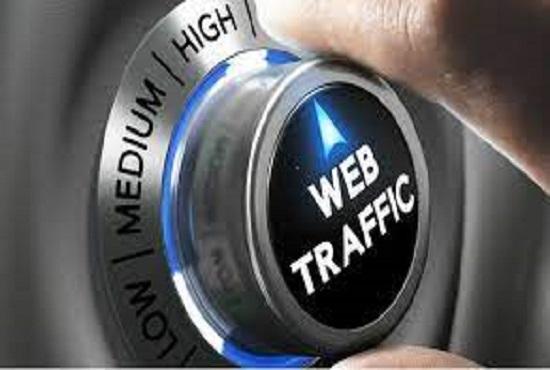 I will drive real and organic targeted web traffic wi...