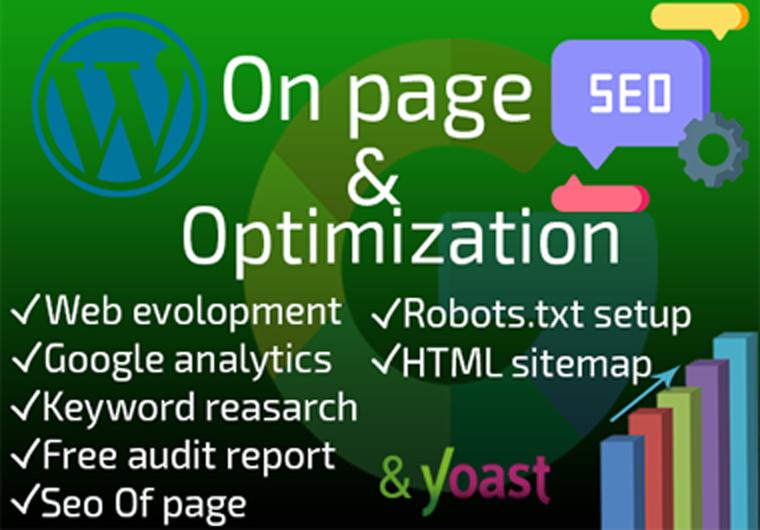 onpage SEO service for website ranking
