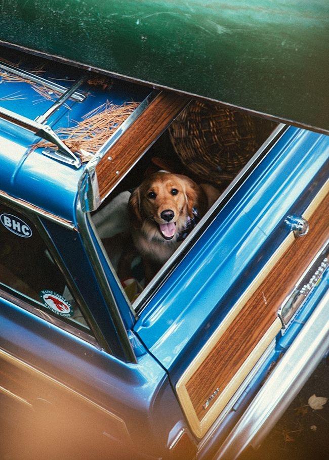 The article contains more than 4000 words. It's about...