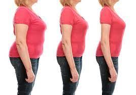 I will provide article about high protien diet