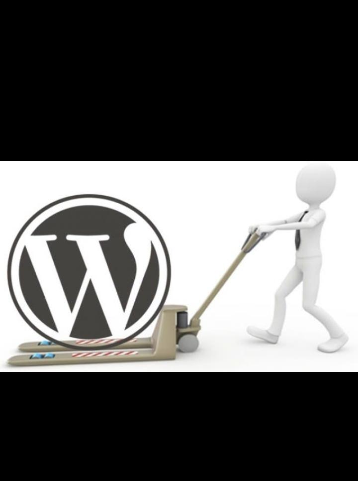 I will backup, migrate, transfer WordPress website ...