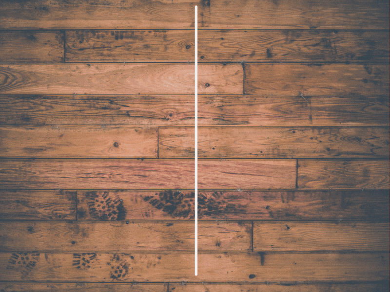 I can build 105 high domain authority profile backlin...