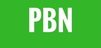 I will Build 20 PBN DR 60 To 75+ Homepage dofollow pe...