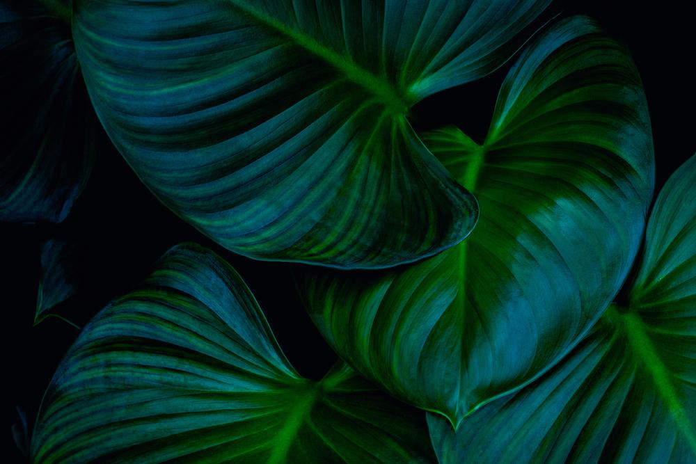 I can provide you 100 royalty free images with produc...