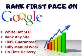 We push your site upon Google 1st Page with high Traf...