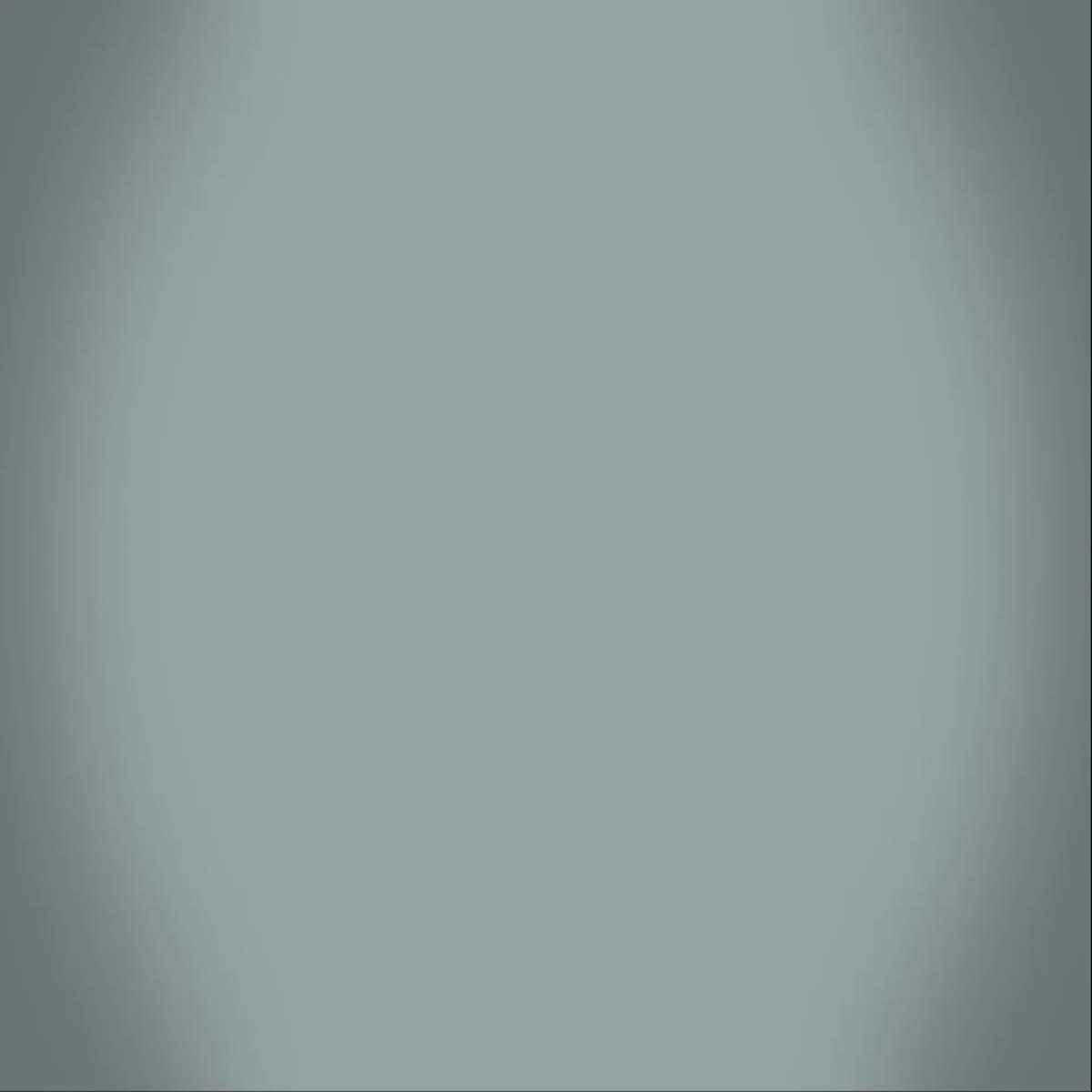 I will do pest control animated promo video