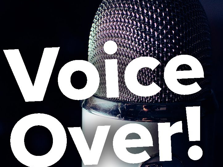 Professional voiceover, 100 words for your project
