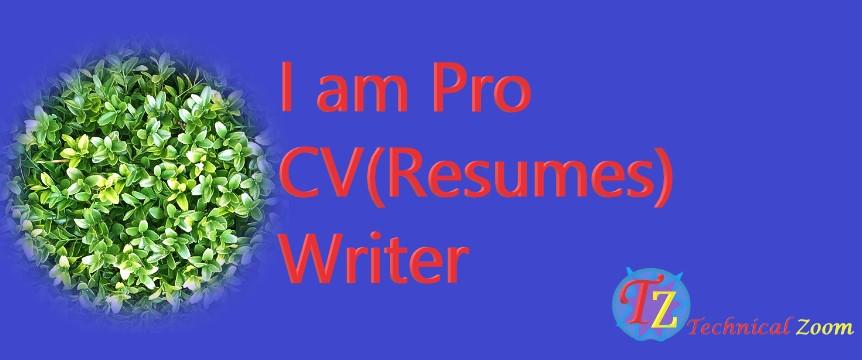 I will provide professional resume writing services