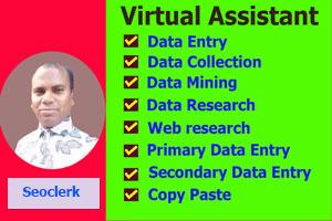 I will do data entry work within 24 Hours