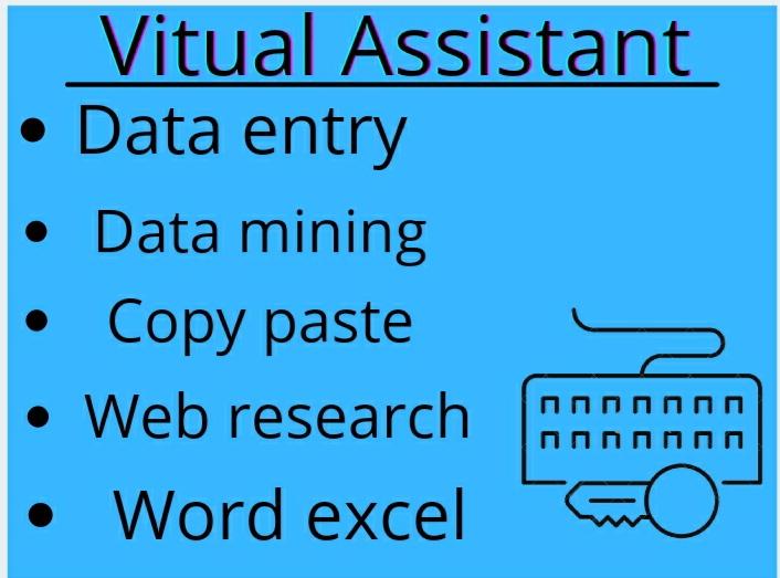 I will Do excel data entry, data mining, copy paste, ...