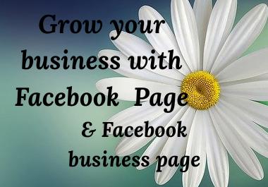 I will do Perfect Facebook Page & Facebook busine...