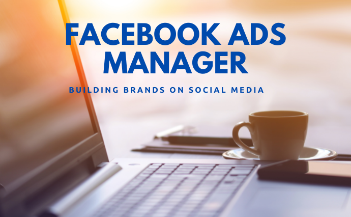 I'll be your Professional Facebook Ads Manager