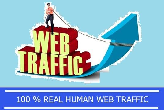 UNLIMITED HUMAN TRAFFIC BY Google Twitter Youtube and...