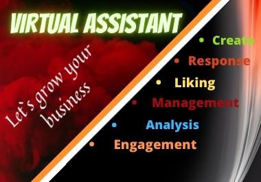 I will be your Virtual Assistant for facebook marketp...