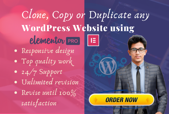I will clone, copy or duplicate and redesign any Wor...
