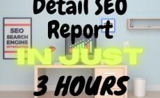 I will Provide Detail SEO Report and also 5 Researche...