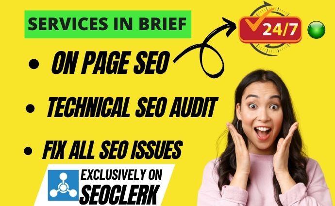 I will on page SEO and technical optimization service...