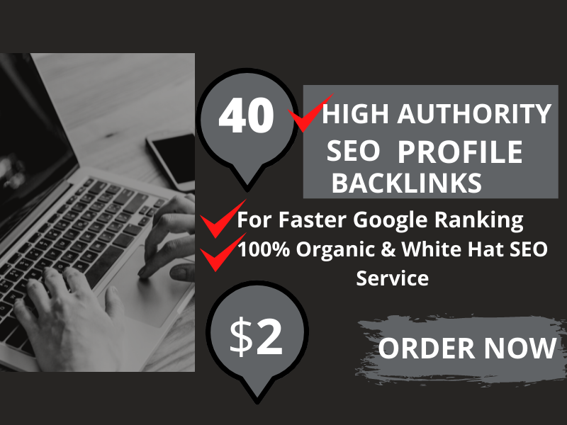 I will build 40 high quality profile backlinks for yo...