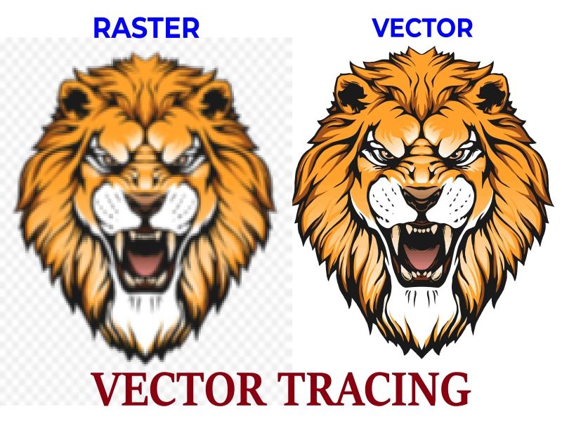 I will do vector tracing, convert your image or logo...