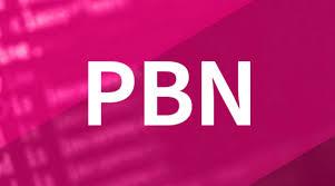 I will create 20 Permanent High DA DR 60+ PBNs Homepa...