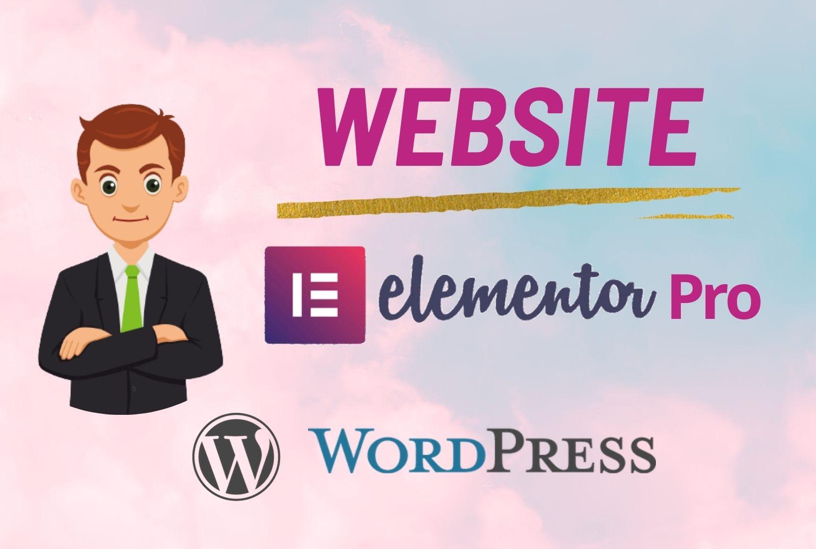 I will be your elementor expert for elementor website...