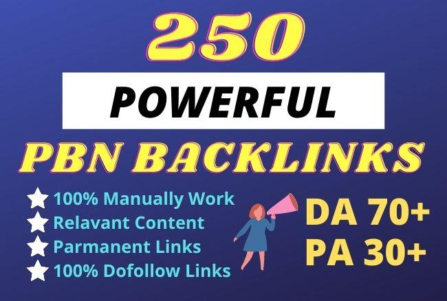 250 Homepage Powerful SEO permanent PBNs backlinks fr...
