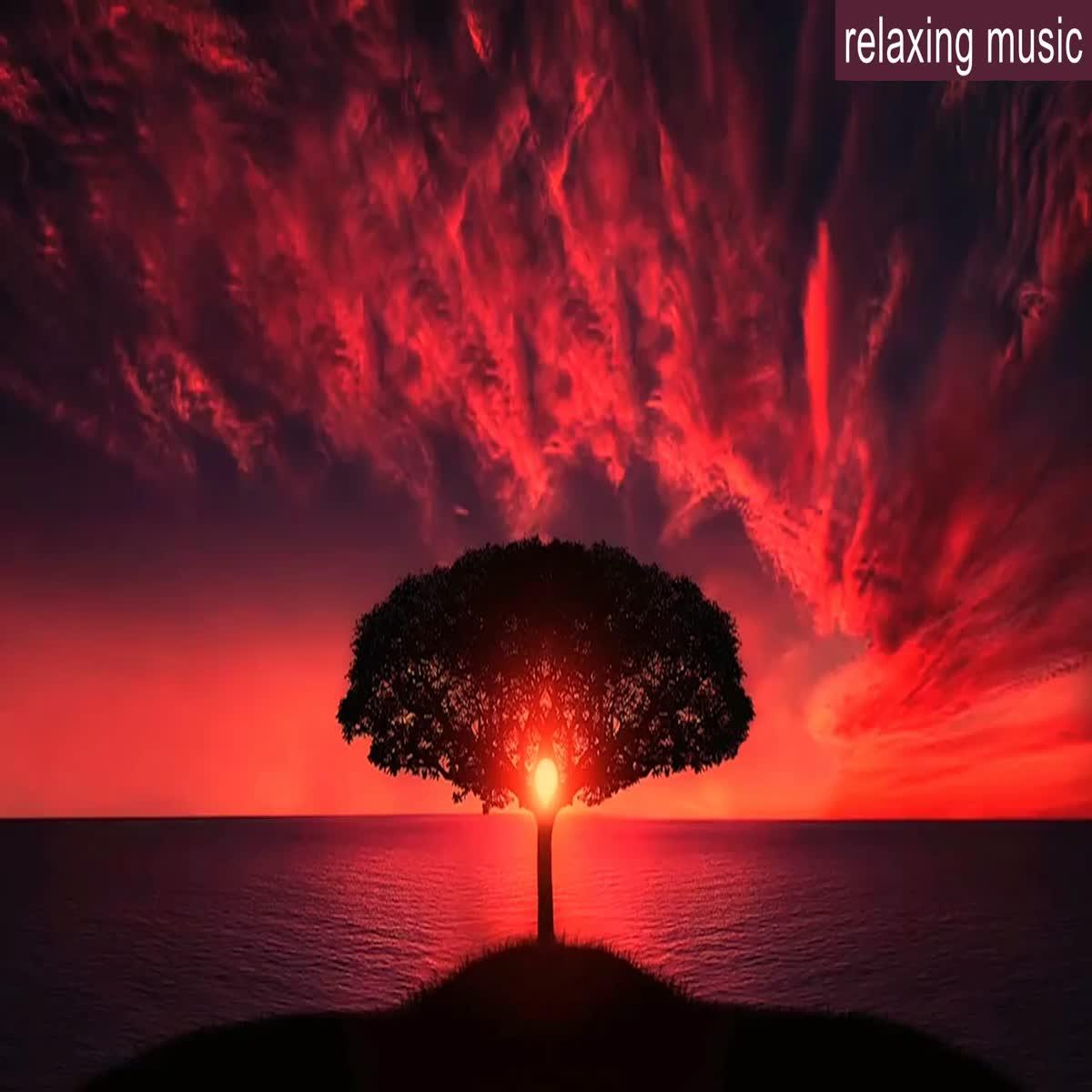 I will create 3 hours meditation relaxing music video...