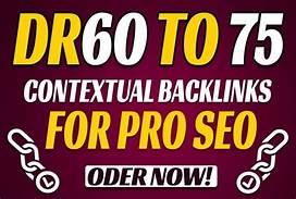 Build 10 PBN High DR 60 to 75 Homepage Dofollow Backl...